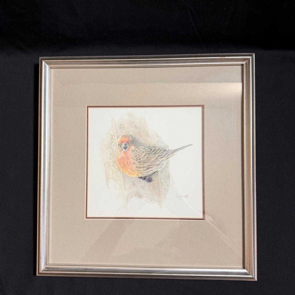 Carol Reames Purple Finch Colored Pencil Drawing Signed Framed Bird Art 13x13
